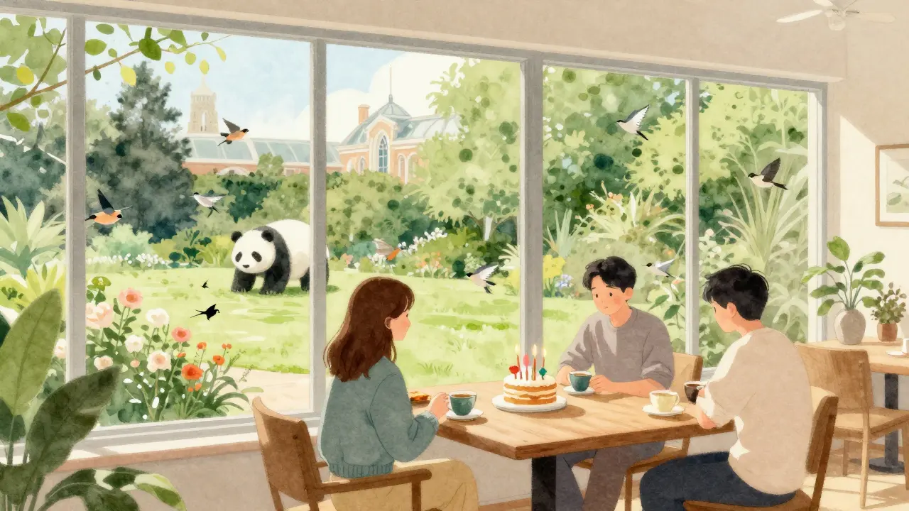 A peaceful birthday gathering in a museum room with garden views, a cake, and no crowds nearby.